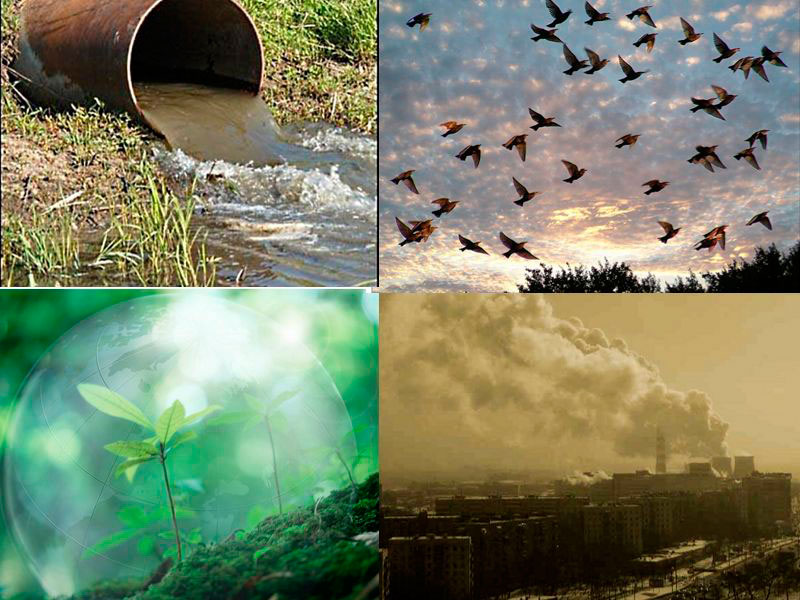 Постановка на государственный учет объектов негативного воздействия на окружающую среду (НВОС)